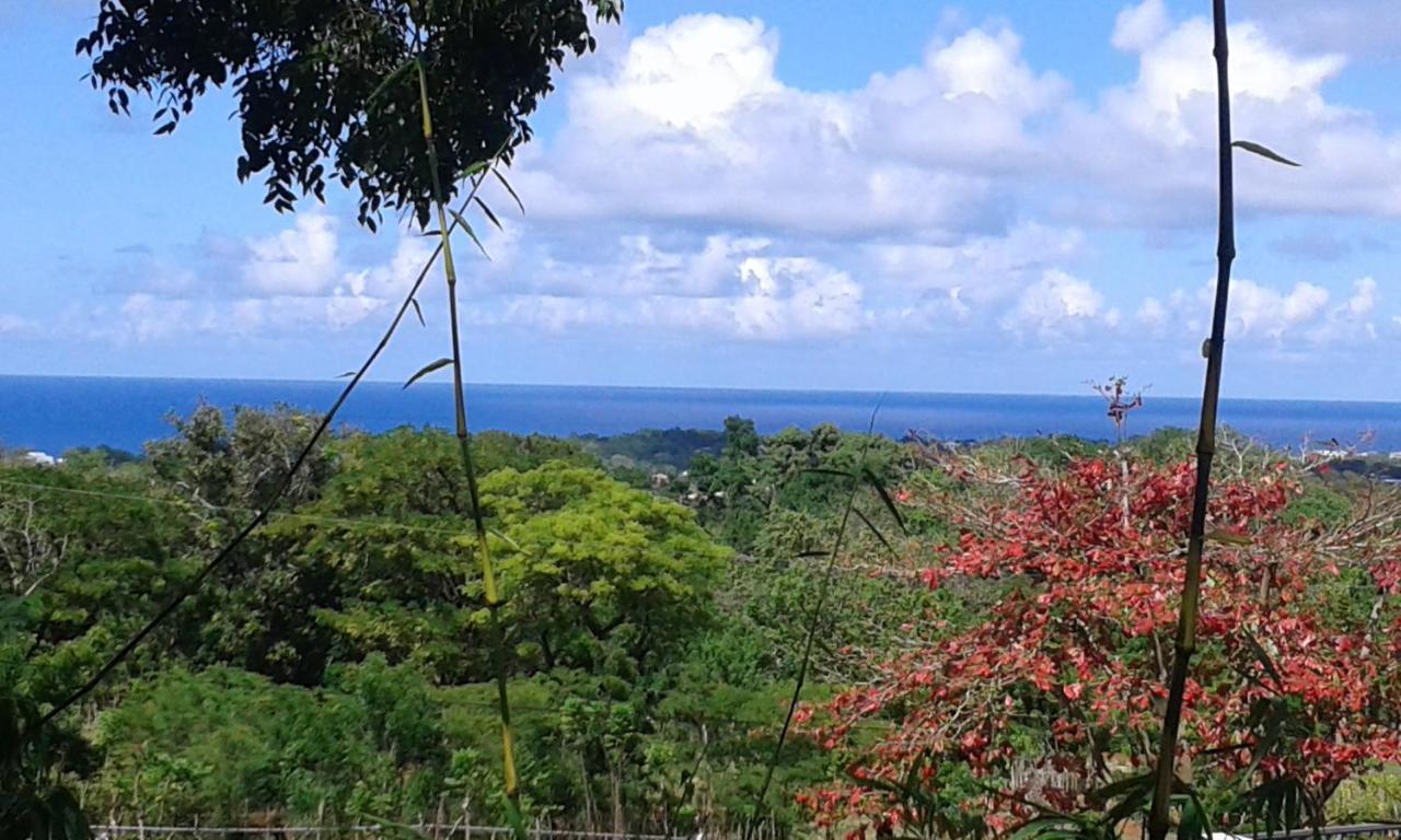B&B El Mirador Al Mar Sosúa Екстериор снимка