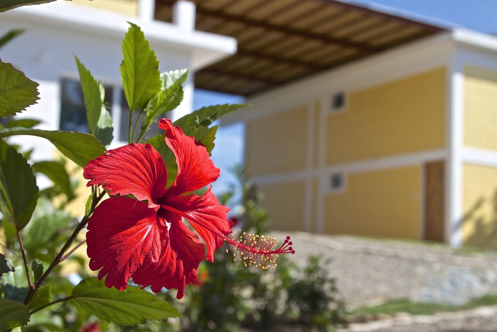 B&B El Mirador Al Mar Sosúa Екстериор снимка